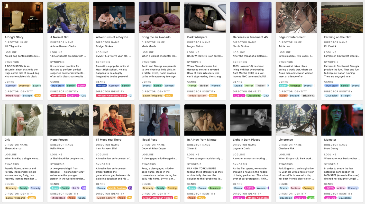 Screenshot from Parity Pipeline website, collection of film cards with titles and information about each director